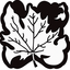 Boku Casino Logo